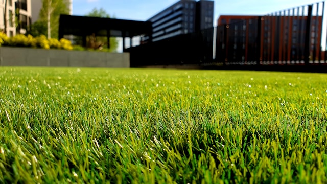 gras