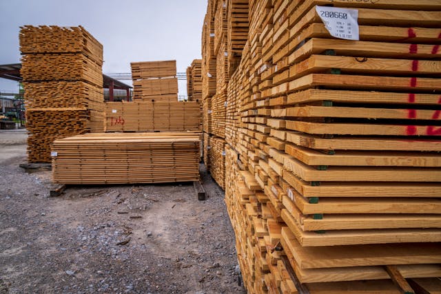 Hout